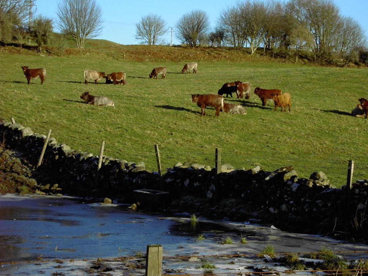 Nest Holiday Home Central Callander, Trossachs Self-Catering Luaran gambar